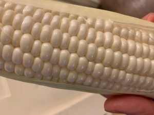 IMG_0639 IMG_0639